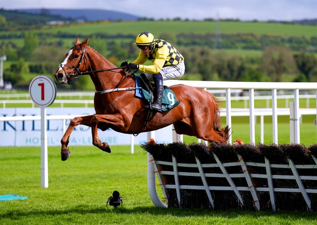 Daddy Long Legs was a different class to his rivals