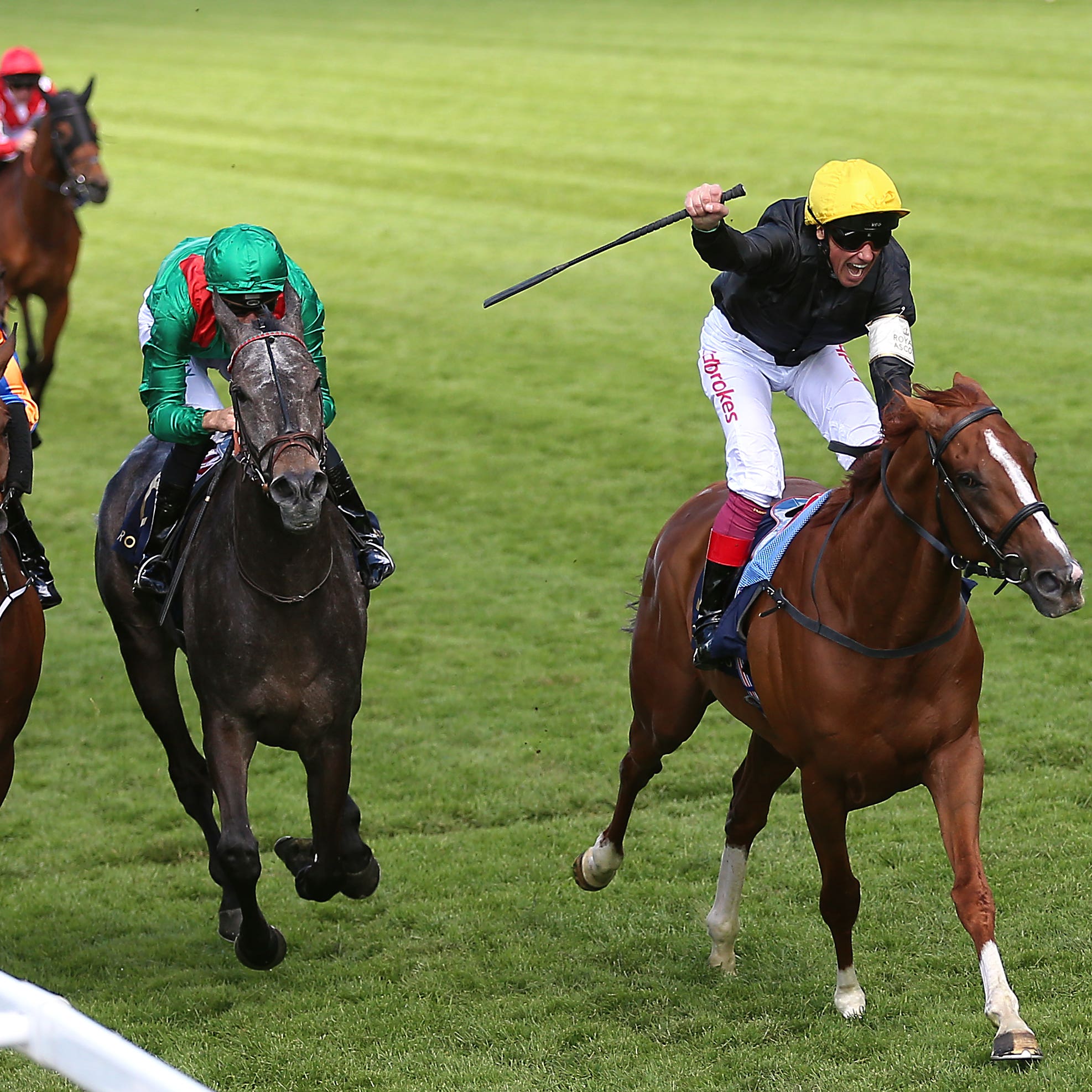 Stradivarius was a game winner of the Gold Cup last year