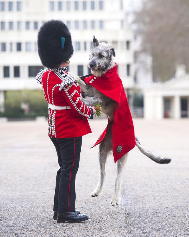 st patricks day irish guards