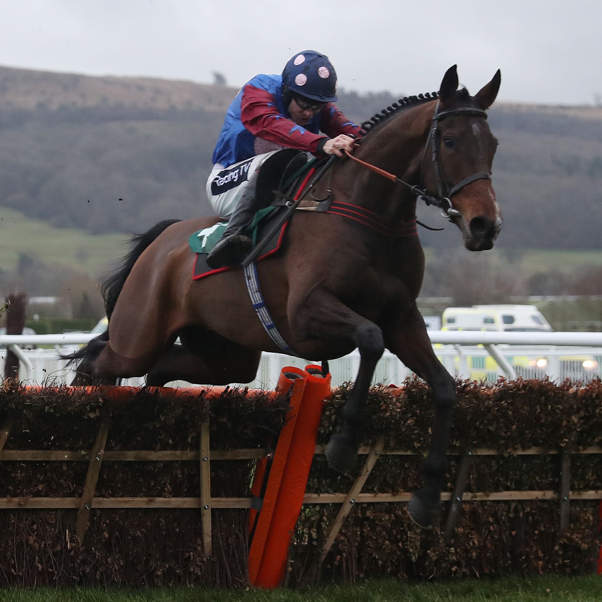Paisley Park opens his Cheltenham account in the Cleeve Hurdle in January