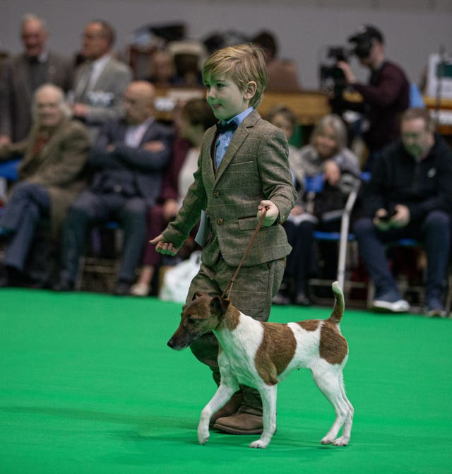 Crufts Dog Show 2025 – Day One