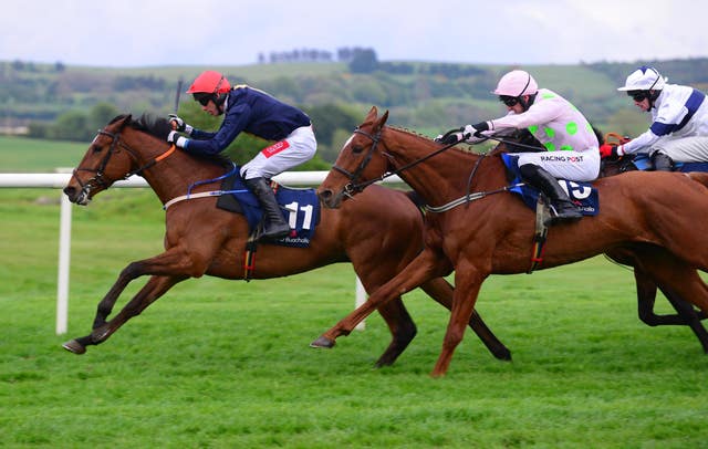 Longhouse Poet (left) ran well for a long way in last year's renewal 