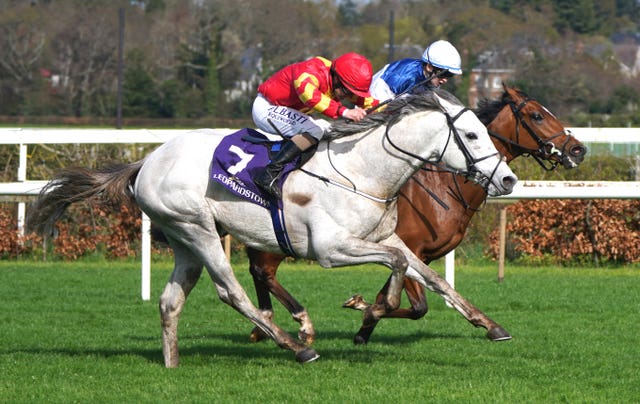 White Birch ridden by jockey Shane Foley (left) wins the P.W.Mcgrath Memorial Ballysax Stakes at Leopardstown