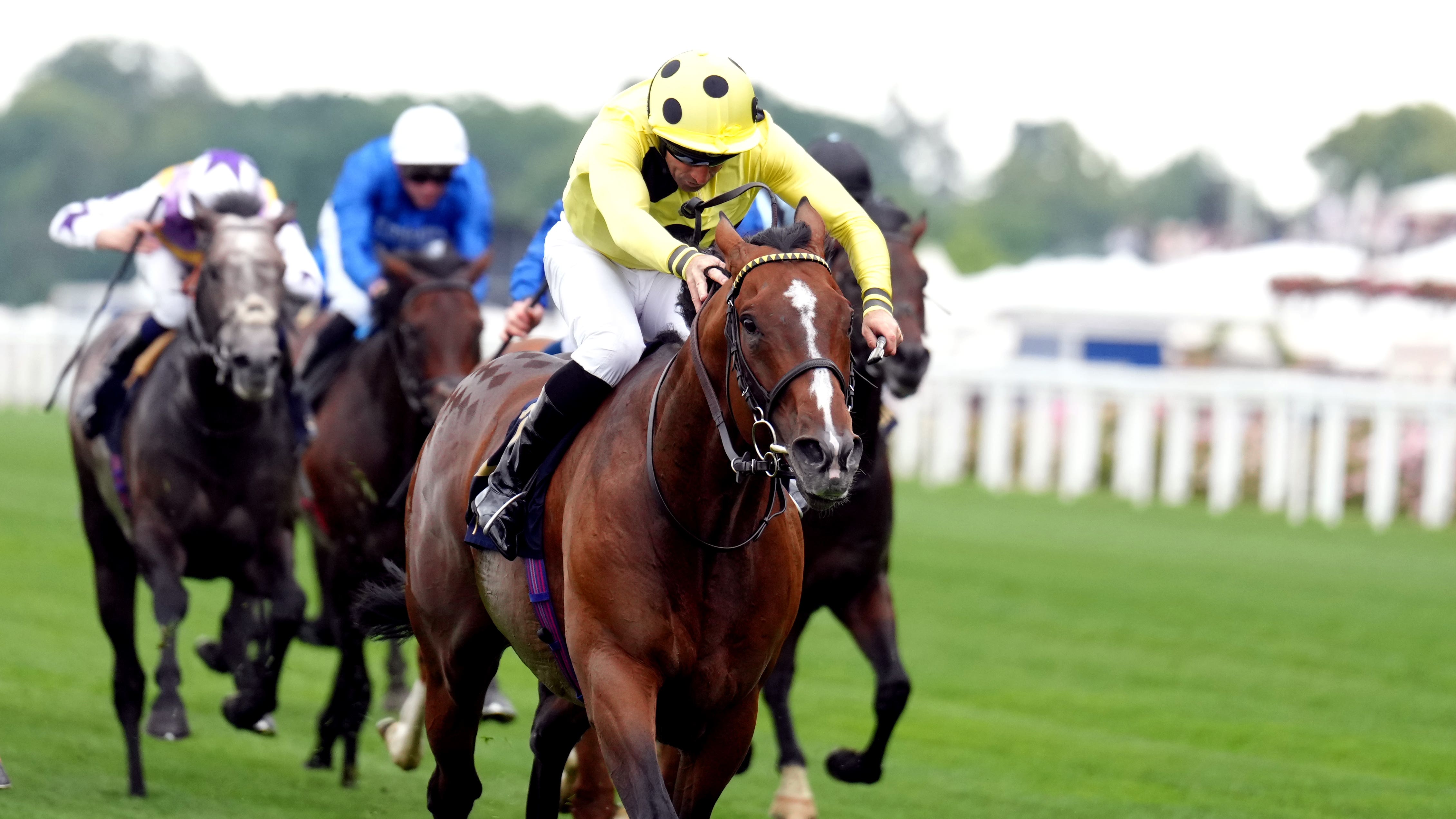 Triple Time looks set to go for Marois glory next month - Vimarsana News