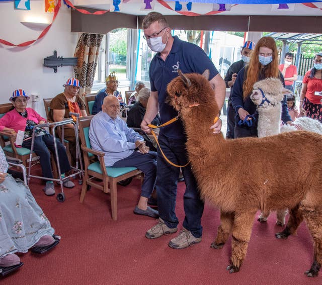 Residents with alpacas at Asra House Residential Care Home in Leicester