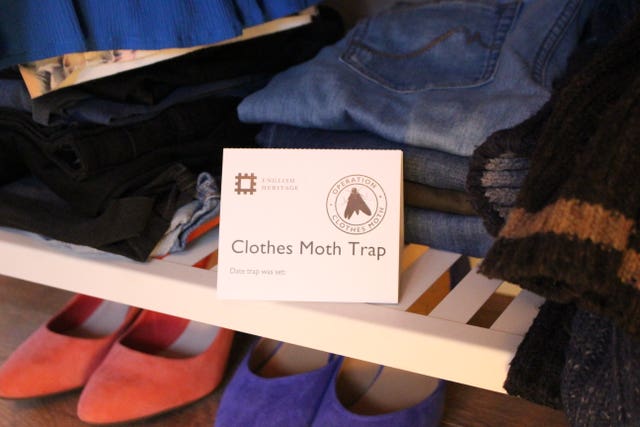 Clothes moths risk