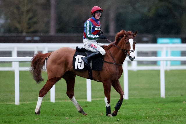 Windbeneathmywings and Jack Tudor after winning at Ascot 