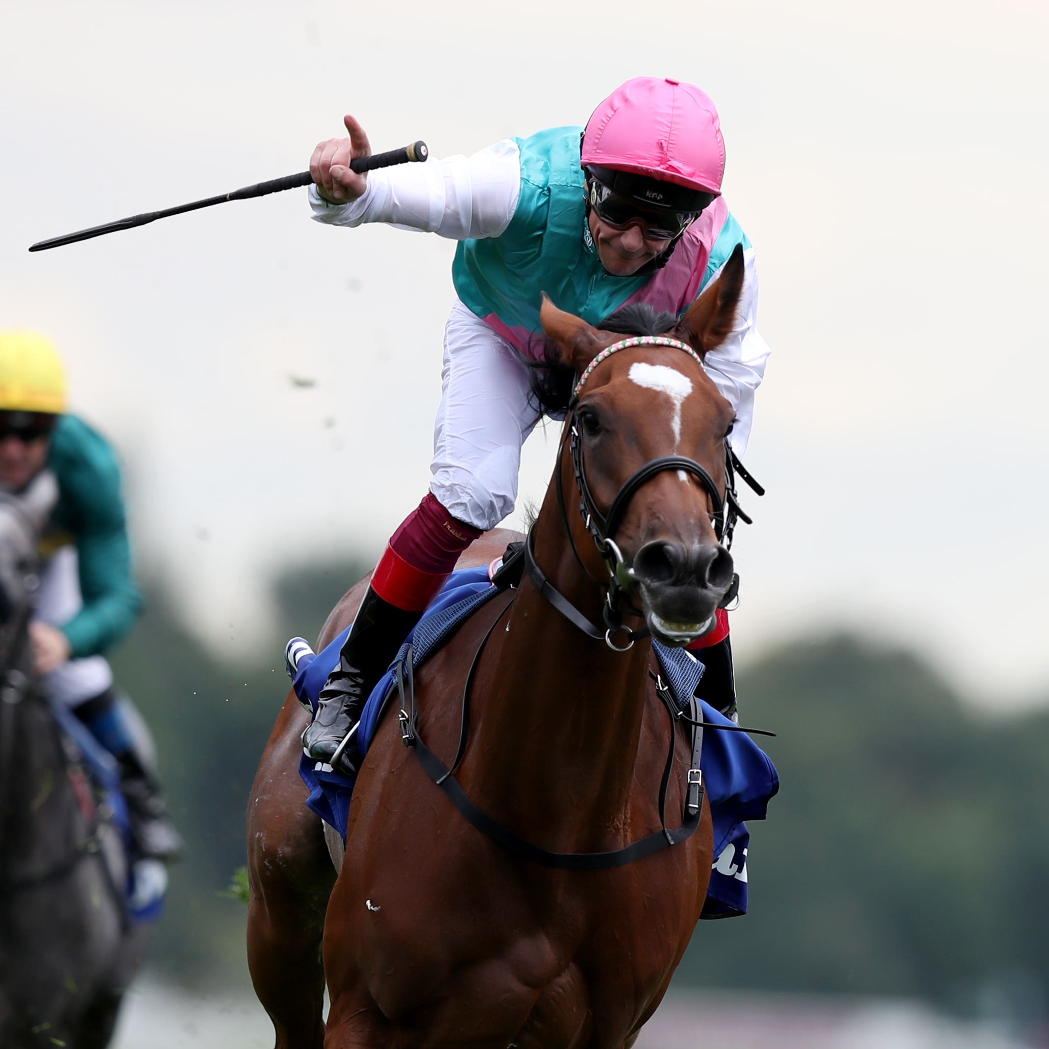 Enable is all set for the Breeders' Cup