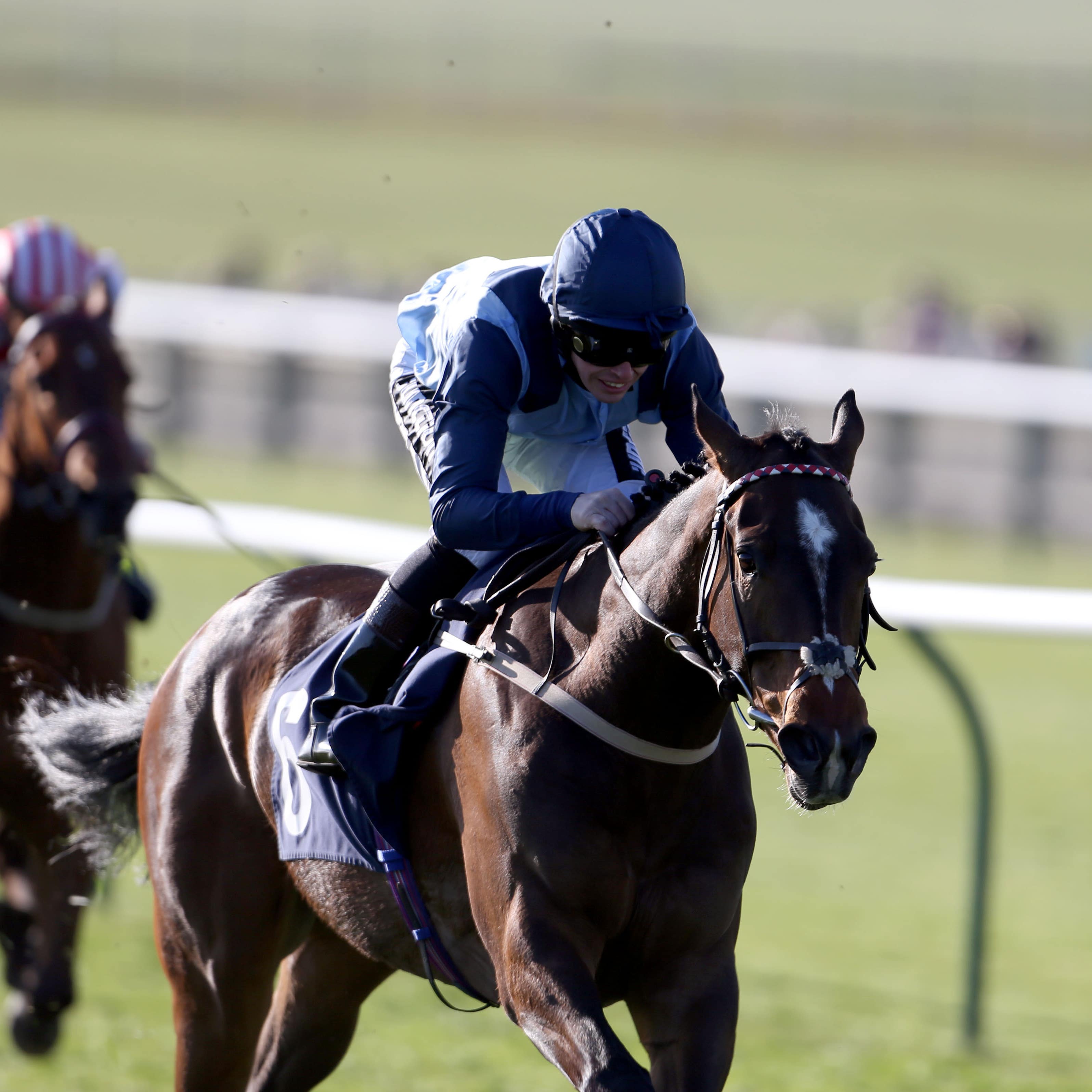 Danzeno could bypass an outing in the Wokingham at Royal Ascot
