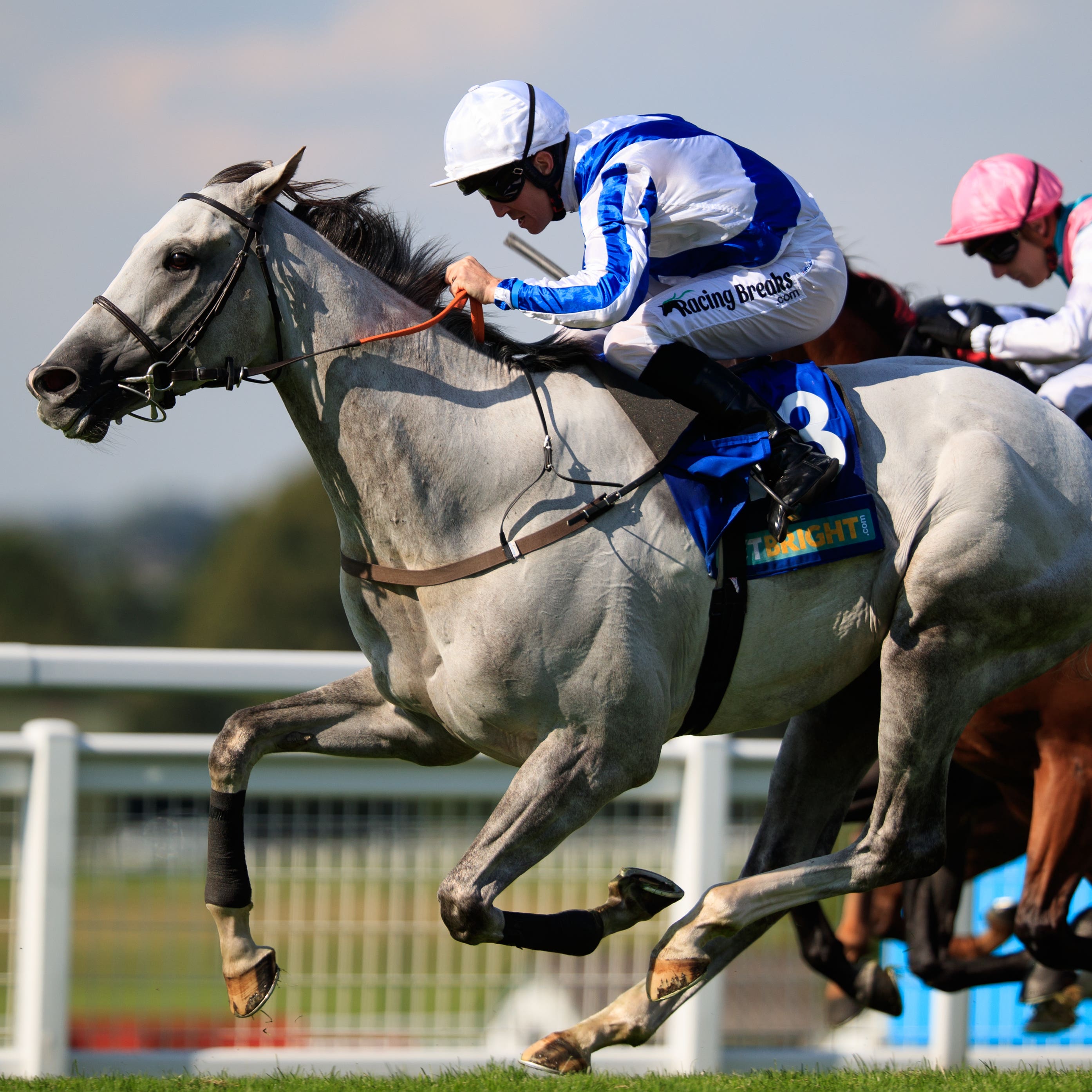Thundering Blue was on the mark in the Stockholm Cup at Bro Park on Sunday