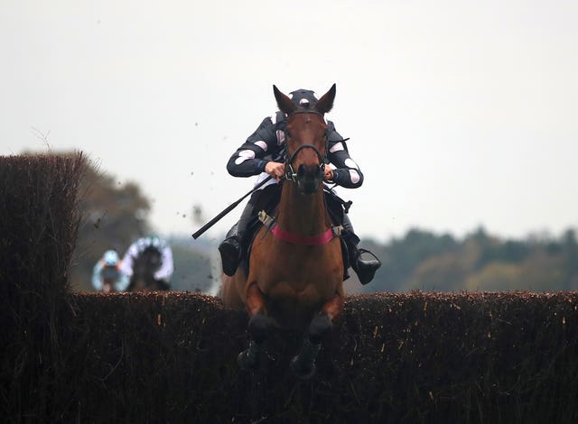 Charlie Deutsch and Pink Legend at Ascot 