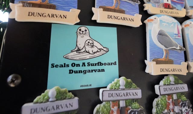 Seals spotted in Co Waterford