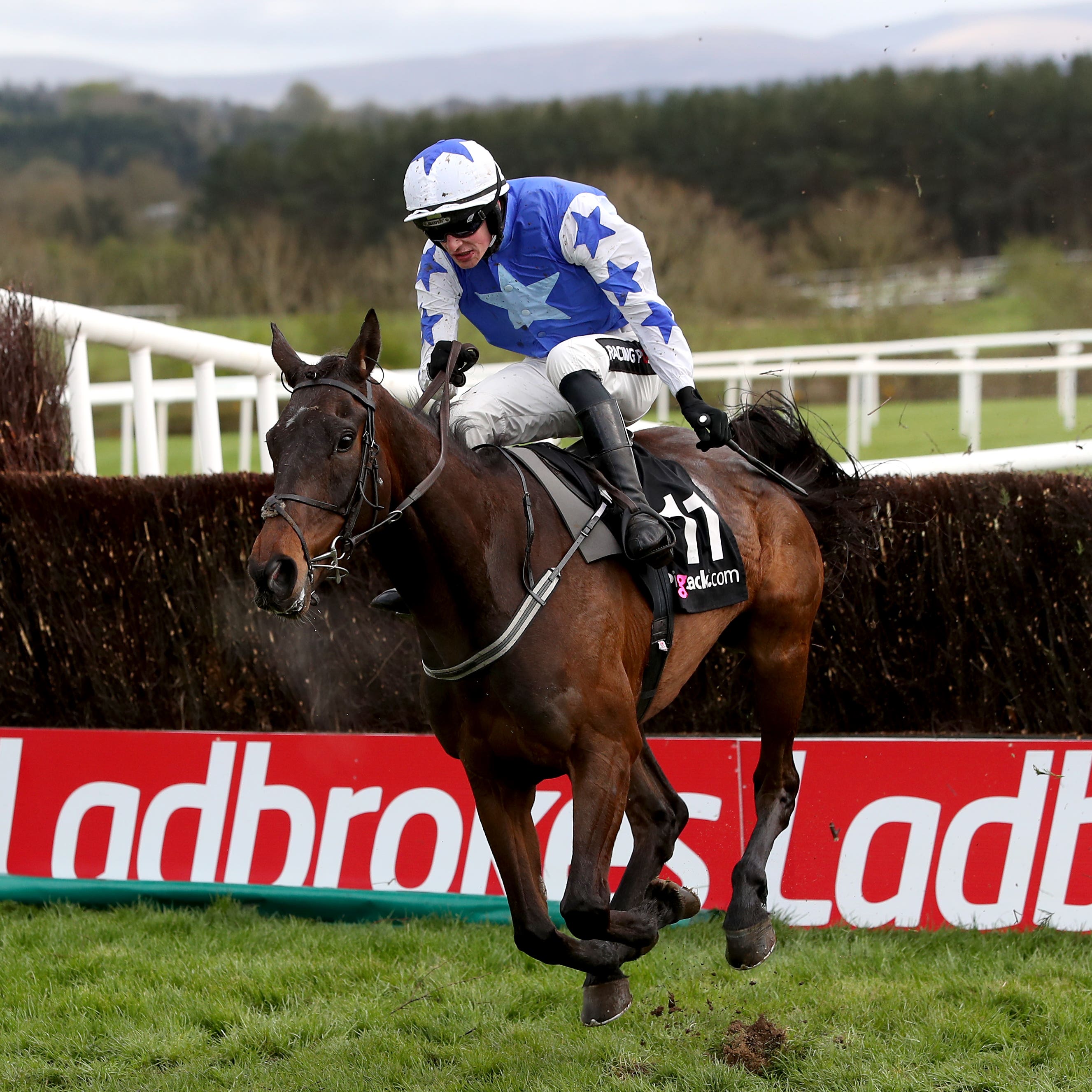 Cadmium was a Grade Three winner at Punchestown