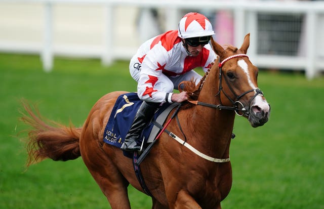 Holloway Boy was a shock 40-1 winner of the Chesham Stakes