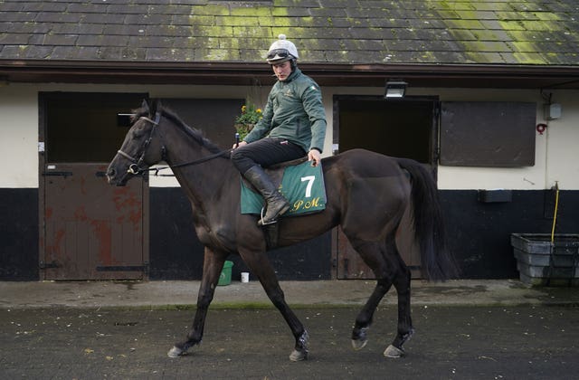 Galopin Des Champs at Willie Mullins' yard 