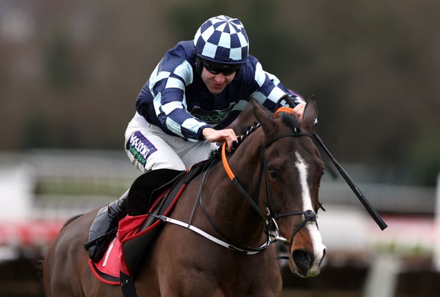 Exciting prospect Chasing Fire is one of two on course to appear in the Sky Bet Supreme Novices' Hurdle for Olly Murphy at the Cheltenham Festival