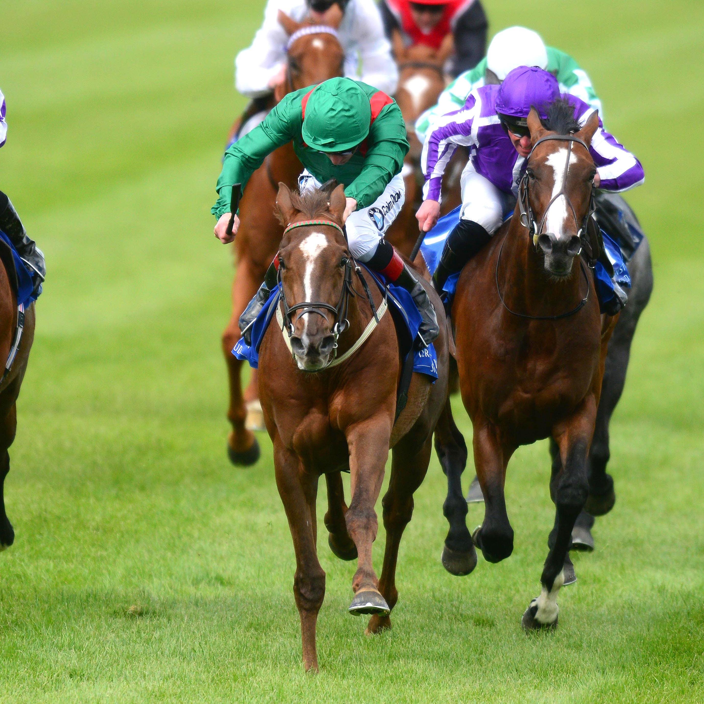 Hazapour on the way to winning the Derrinstown Derby Trial at Leopardstown