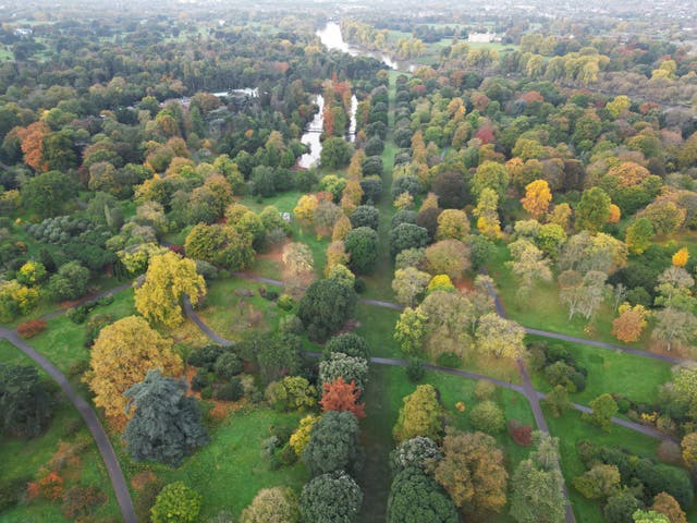 Kew Gardens’ autumn colour