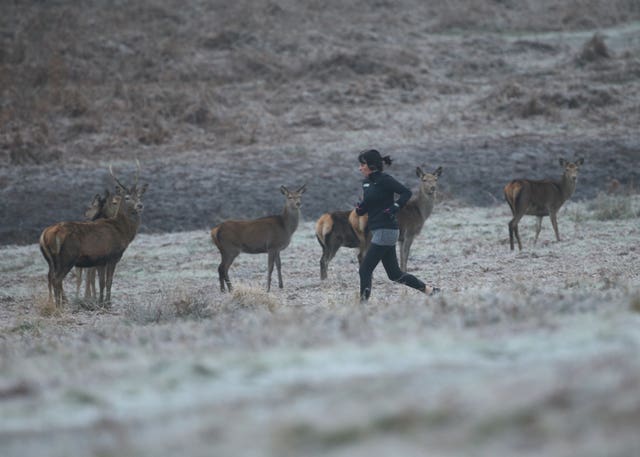 A woman jogging in Richmond Park, in south west London