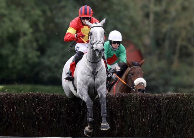 Vanillier in action at Punchestown