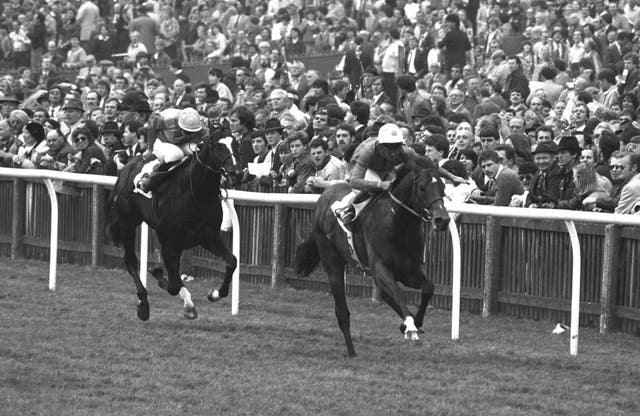 Chief Singer finishing second in the 1984 2000 Guineas
