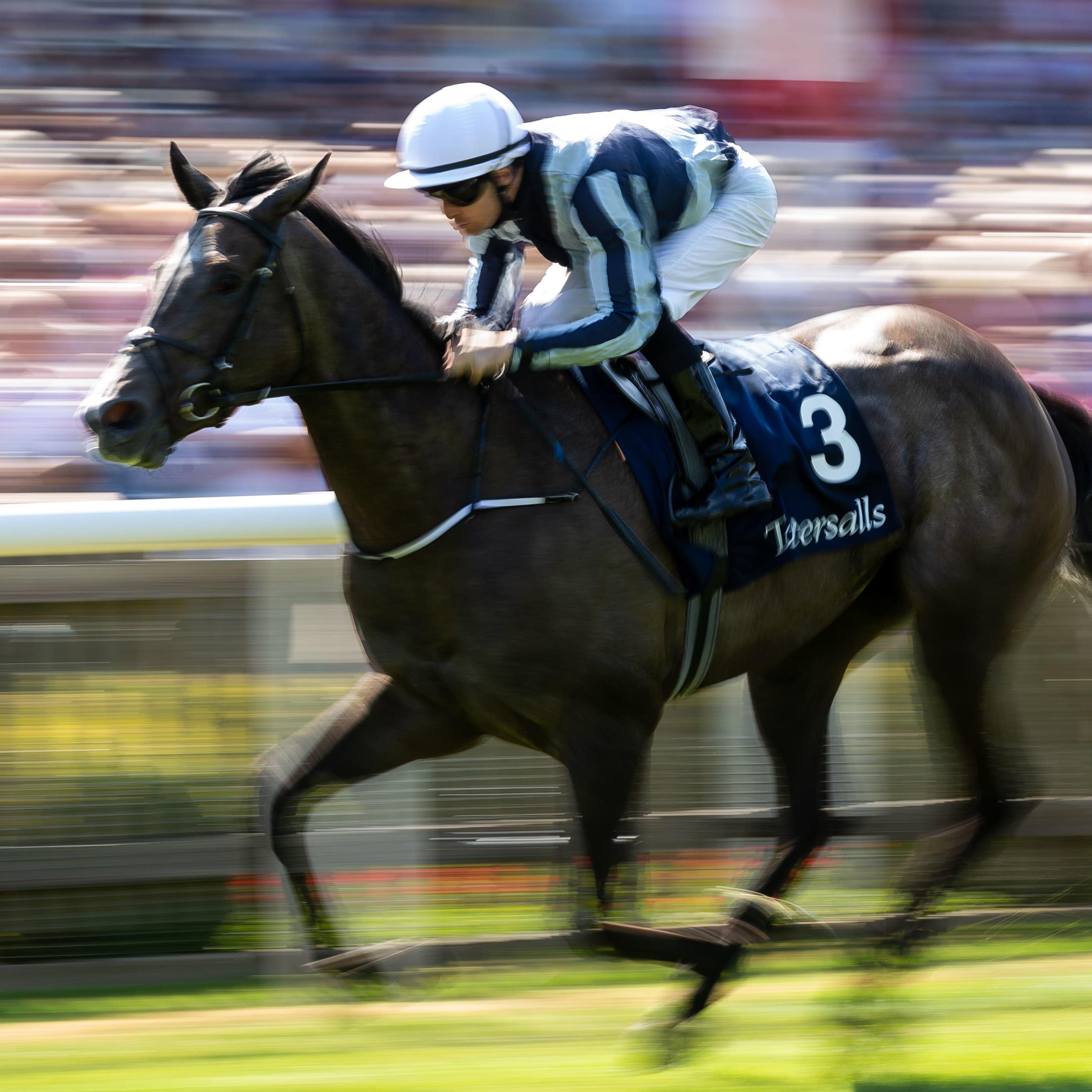 Alpha Centauri on her way to winning the Falmouth Stakes at Newmarket