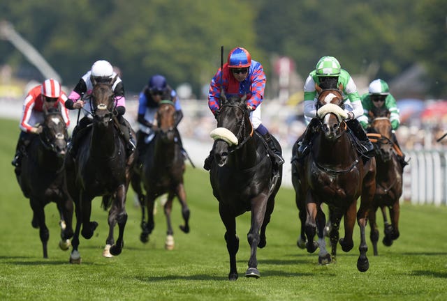 Big Mojo excelled at Goodwood last year 