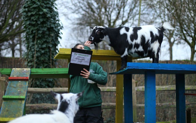 ZSL London Zoo annual stocktake