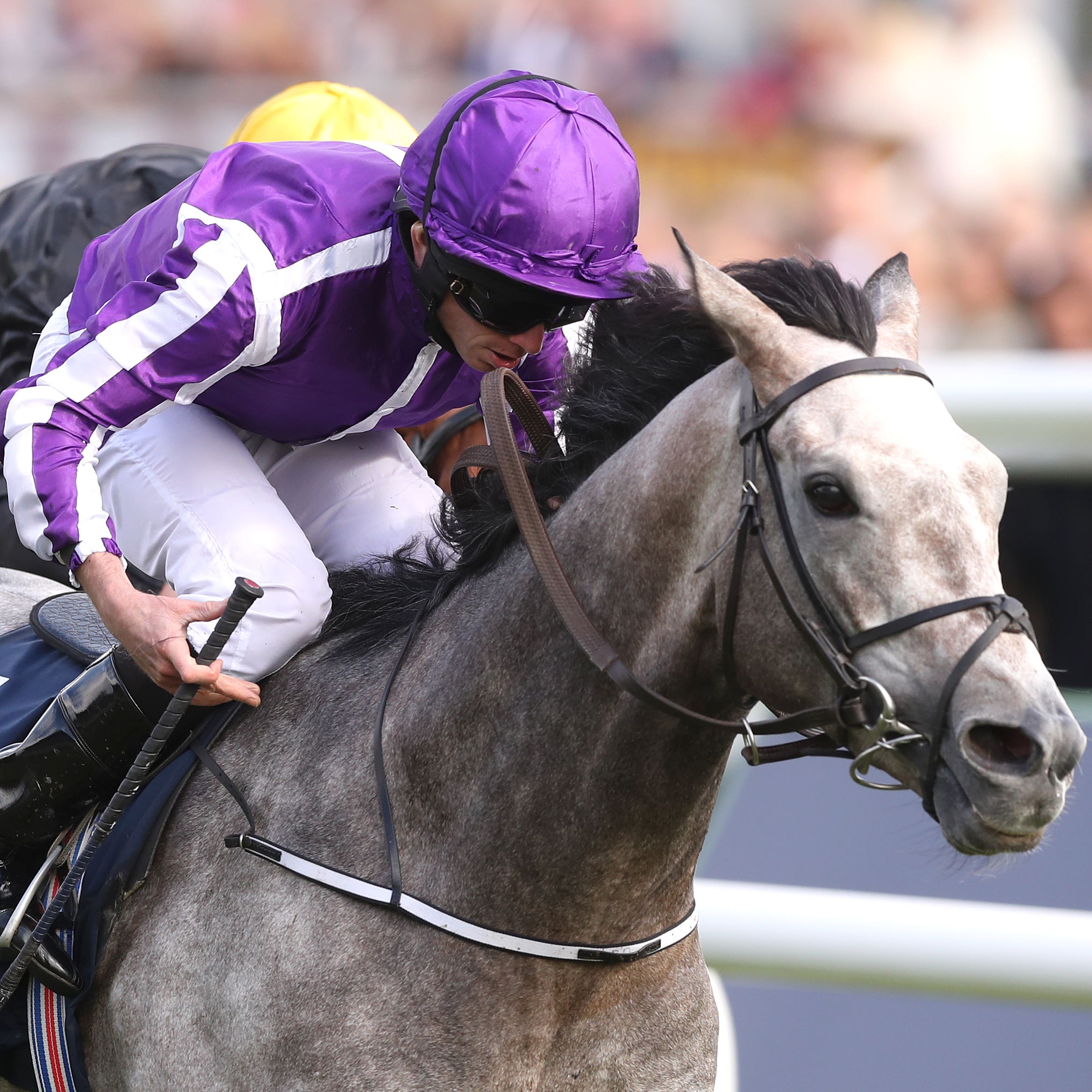 Capri, trained by Aidan O’Brien (Martin Rickett/PA)