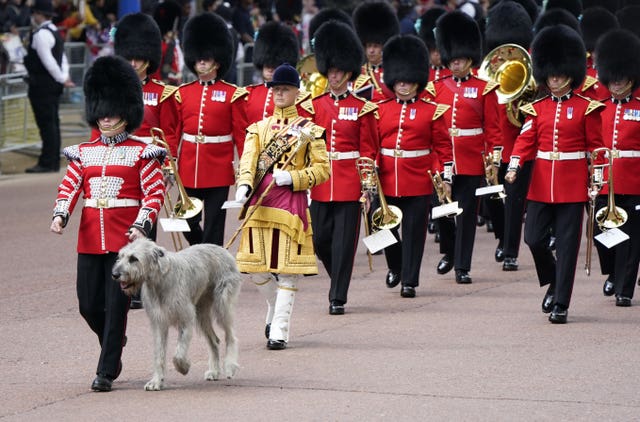 An Irish wolfhound leads as Guards march along The Mall