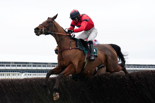 Ahoy Senor drops back in distance at Ascot 