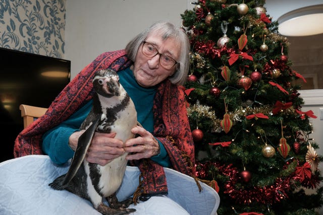Penguins visit care home residents
