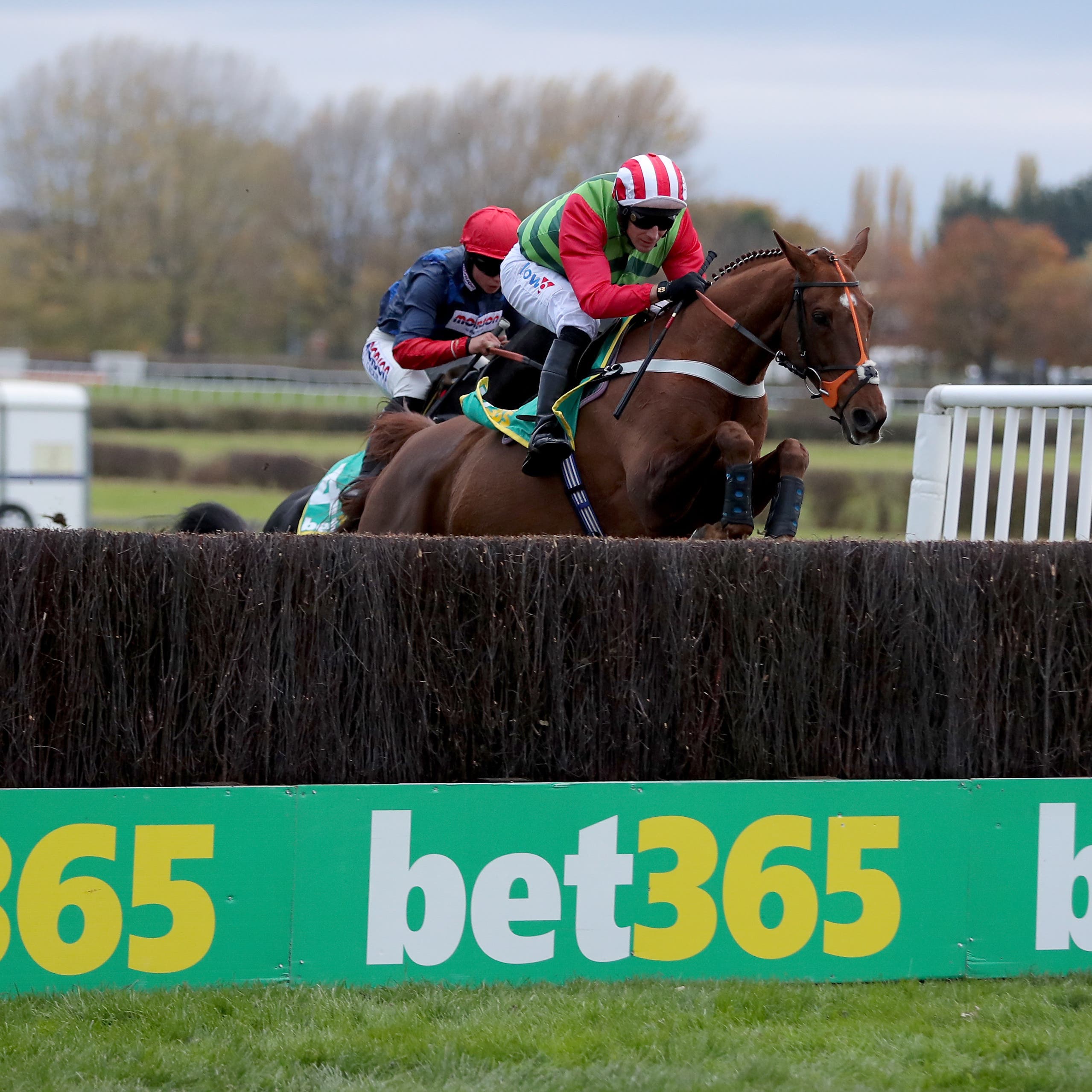 Definitly Red endured misfortune in the Gold Cup