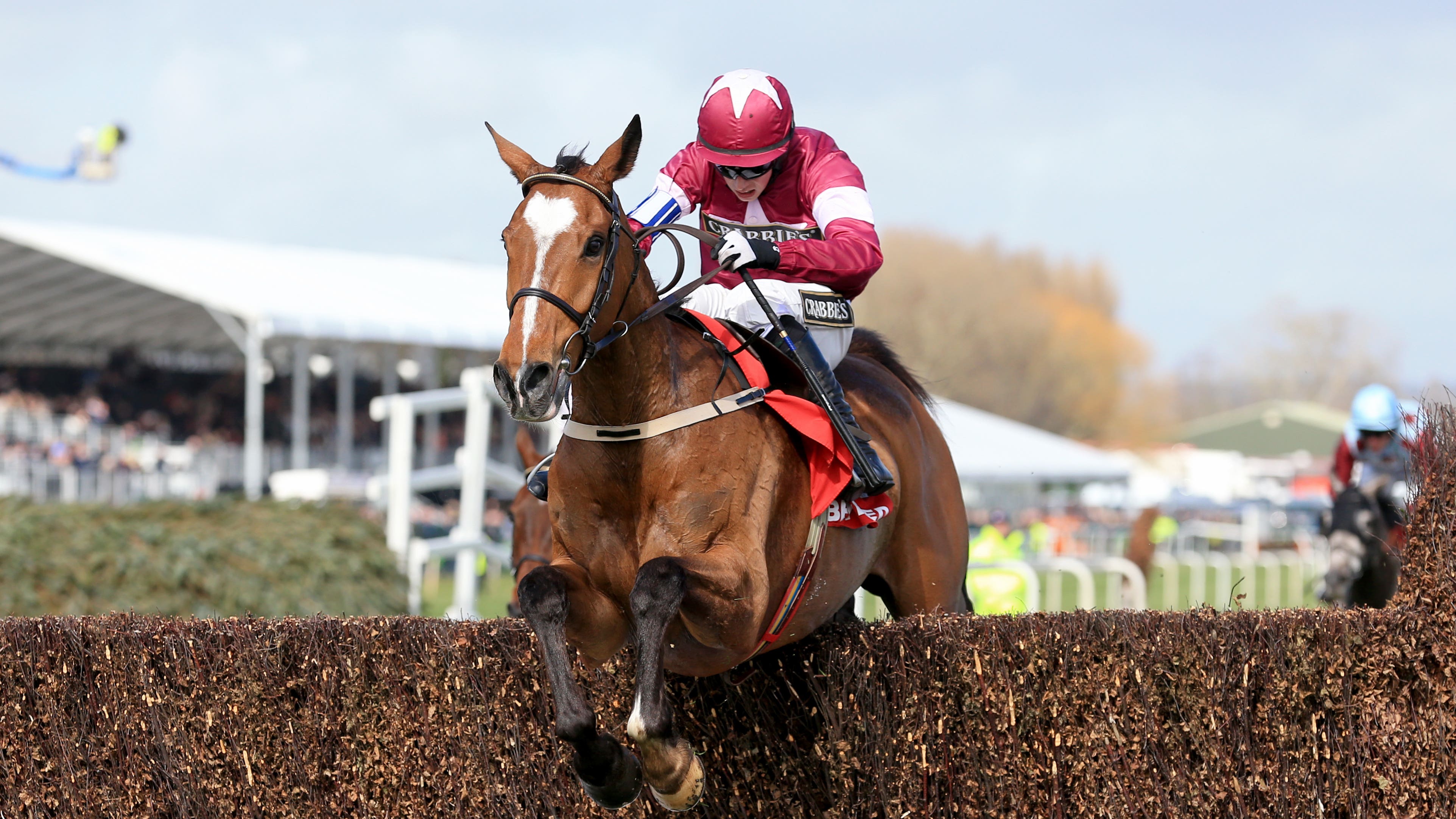 Non Runners In Grand National Non Runners In Grand National