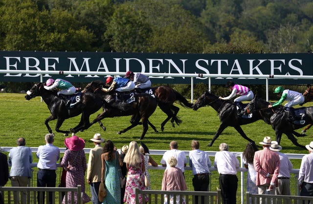 Jouncy winning at Goodwood