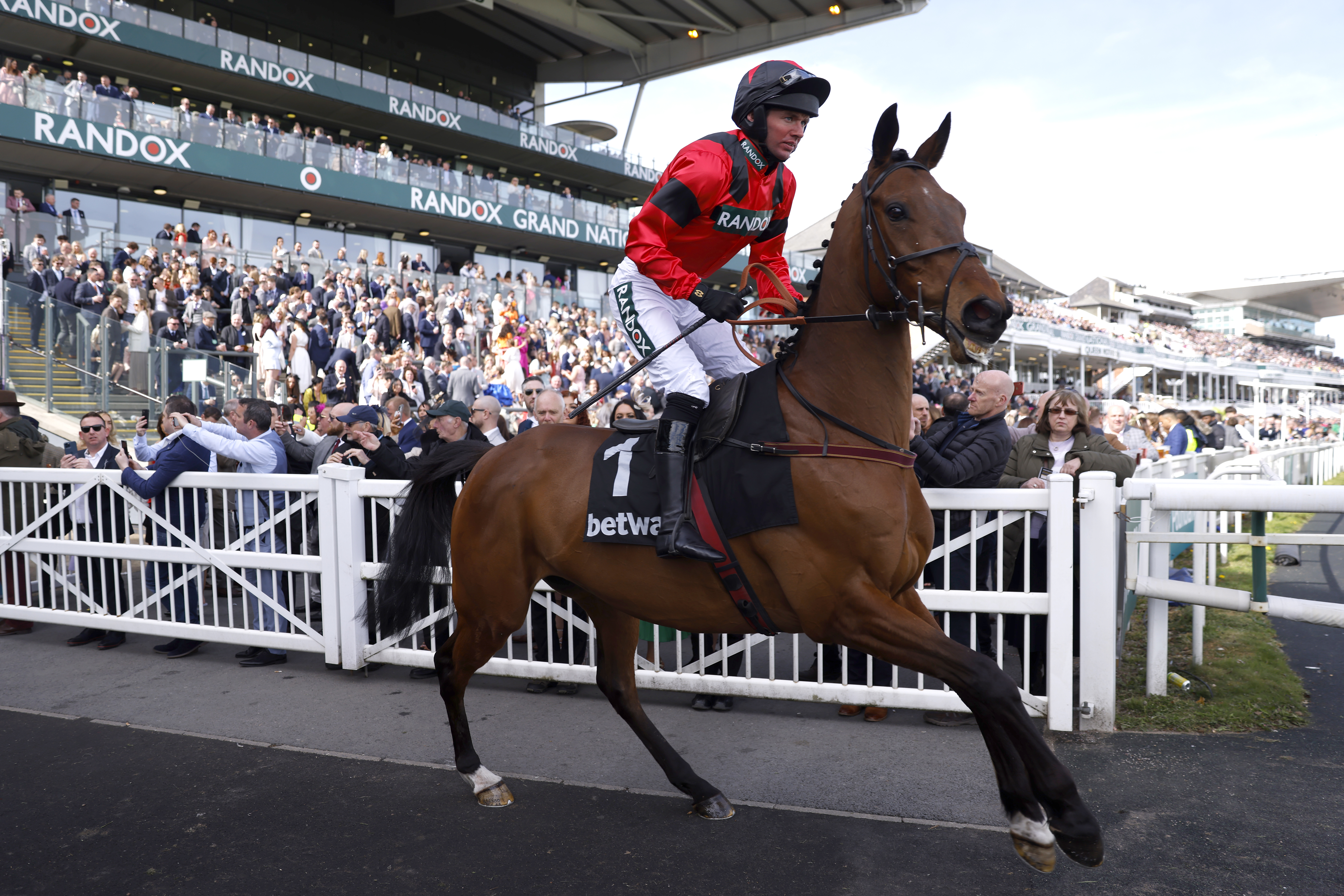 Ahoy Senor and Derek Fox