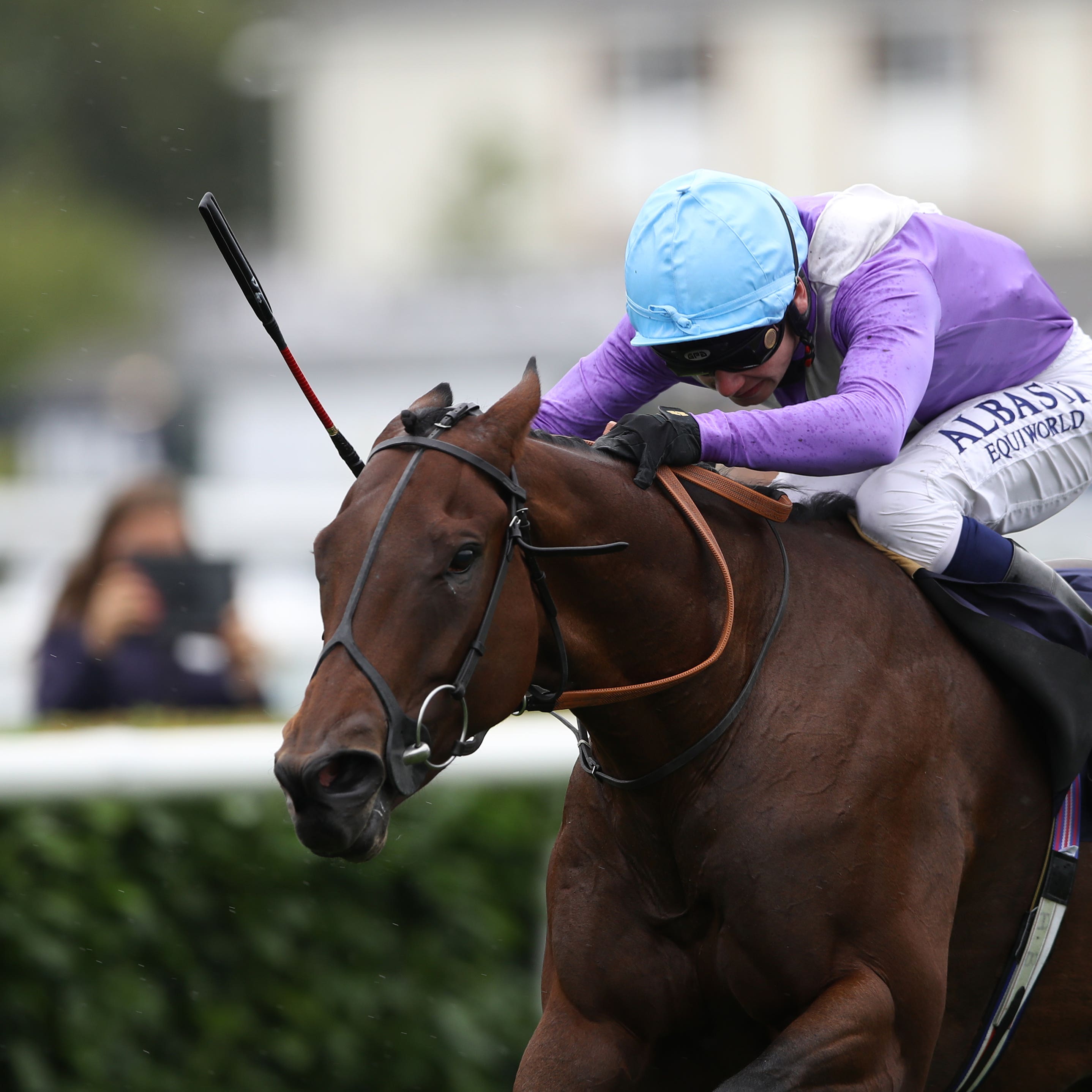 Dancing Star got back to winning ways