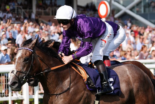 Hollywood Treasure looks a smart prospect 