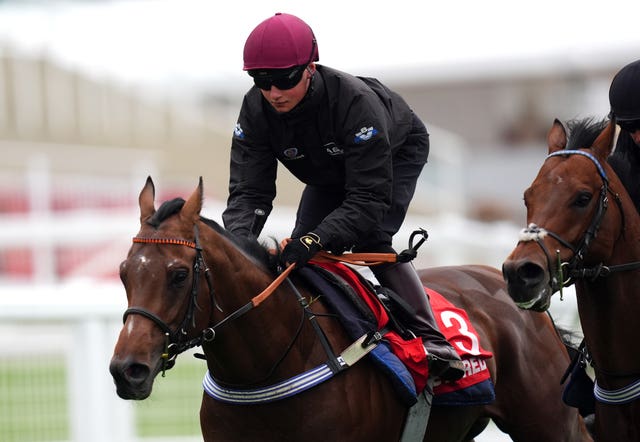 Betfred Derby Festival Gallops Morning – Epsom Downs Racecourse