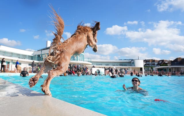 Dogtember at Saltdean Lido