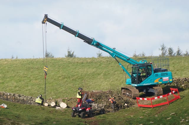 Work begins on the removal of the felled Sycamore Gap tree 