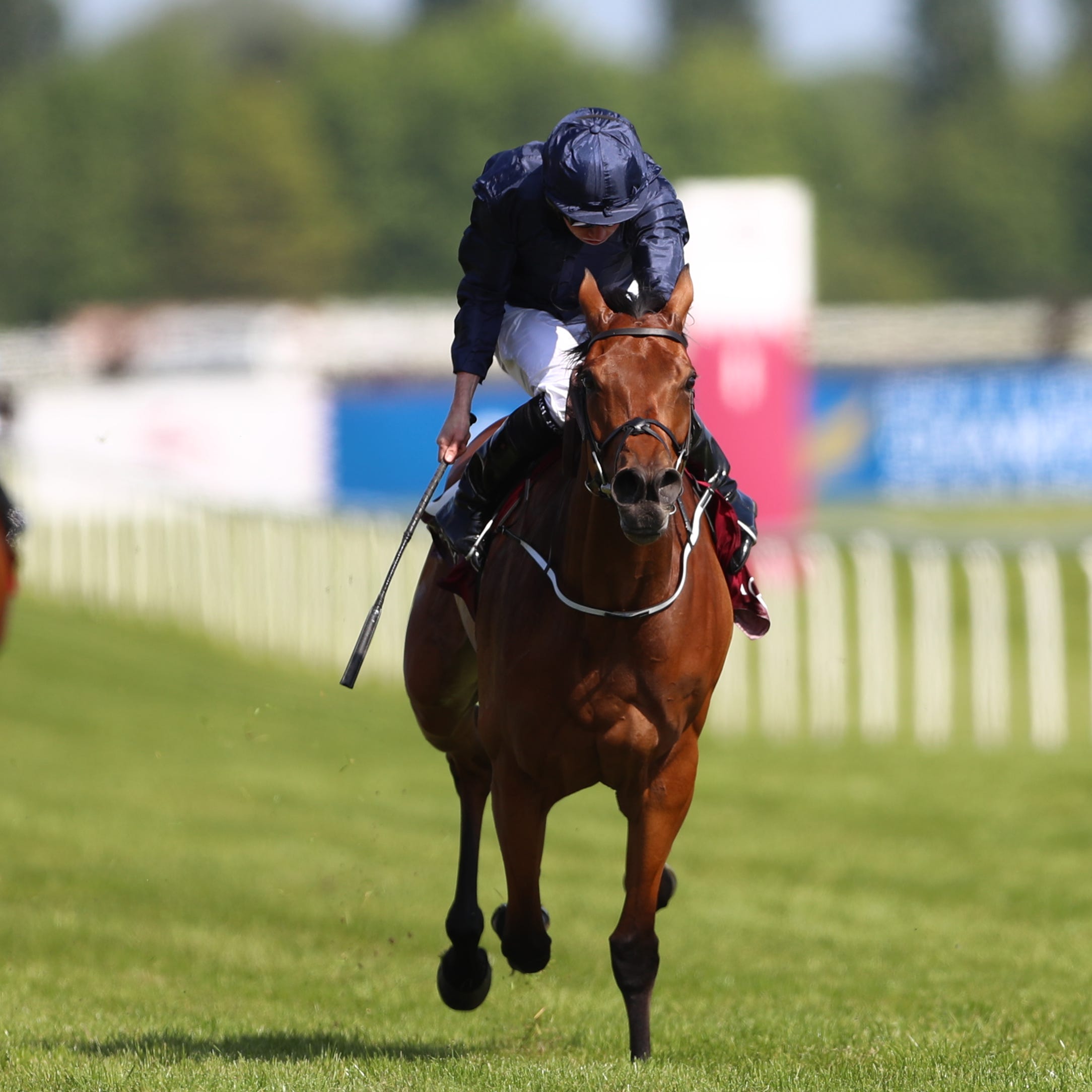 Rhododendron on her way to winning the Lockinge Stakes at Newbury
