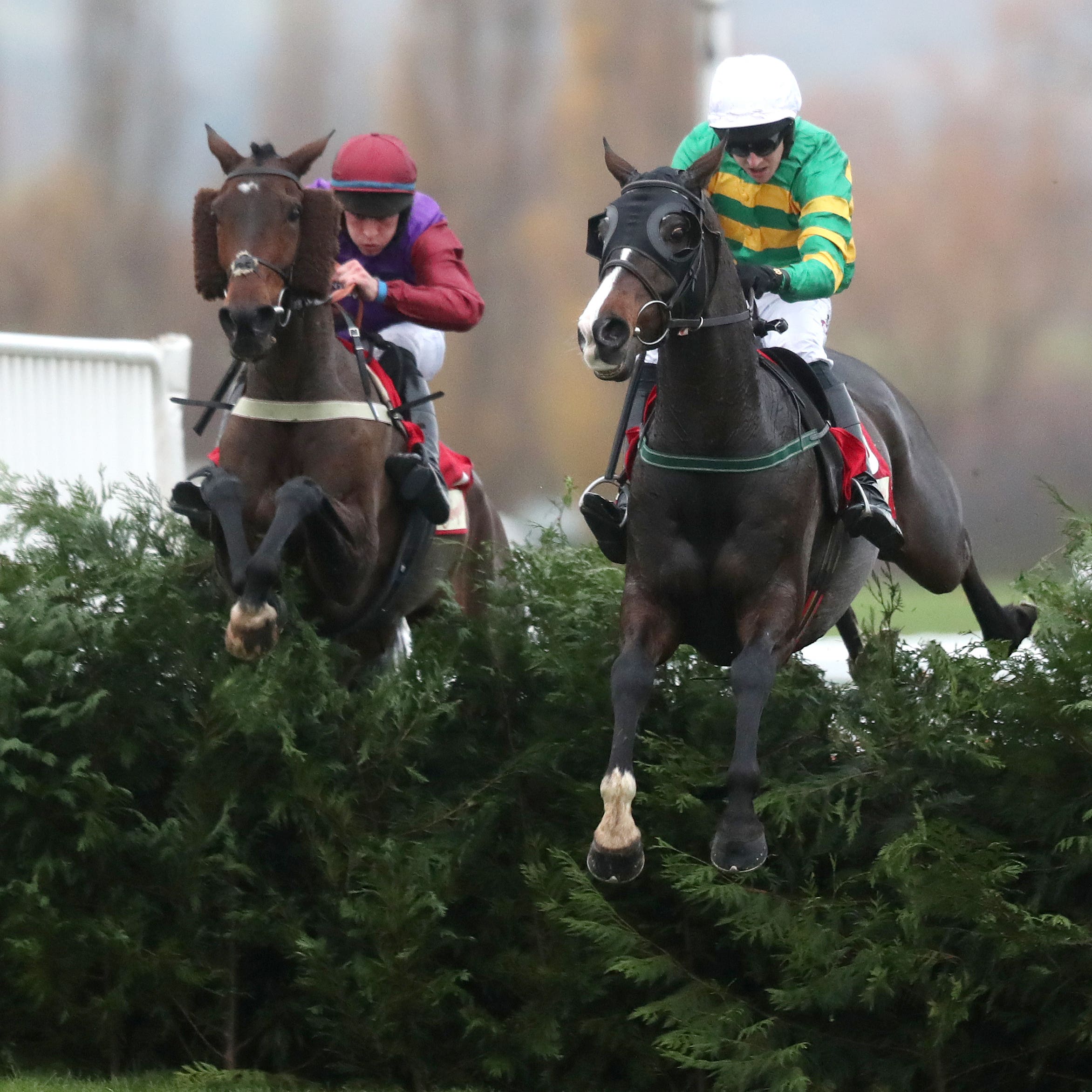 Josies Orders who will head back to the Cheltenham Festival for a fourth time next month