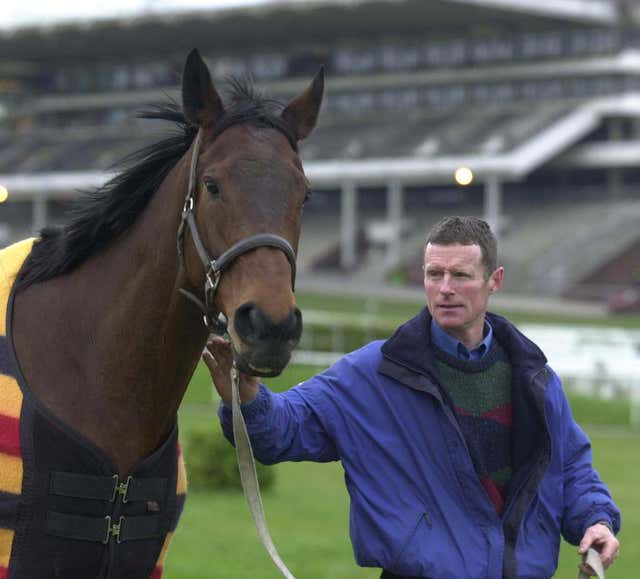 Limestone Lad on an early-morning walk with Michael Bowe at Cheltenham