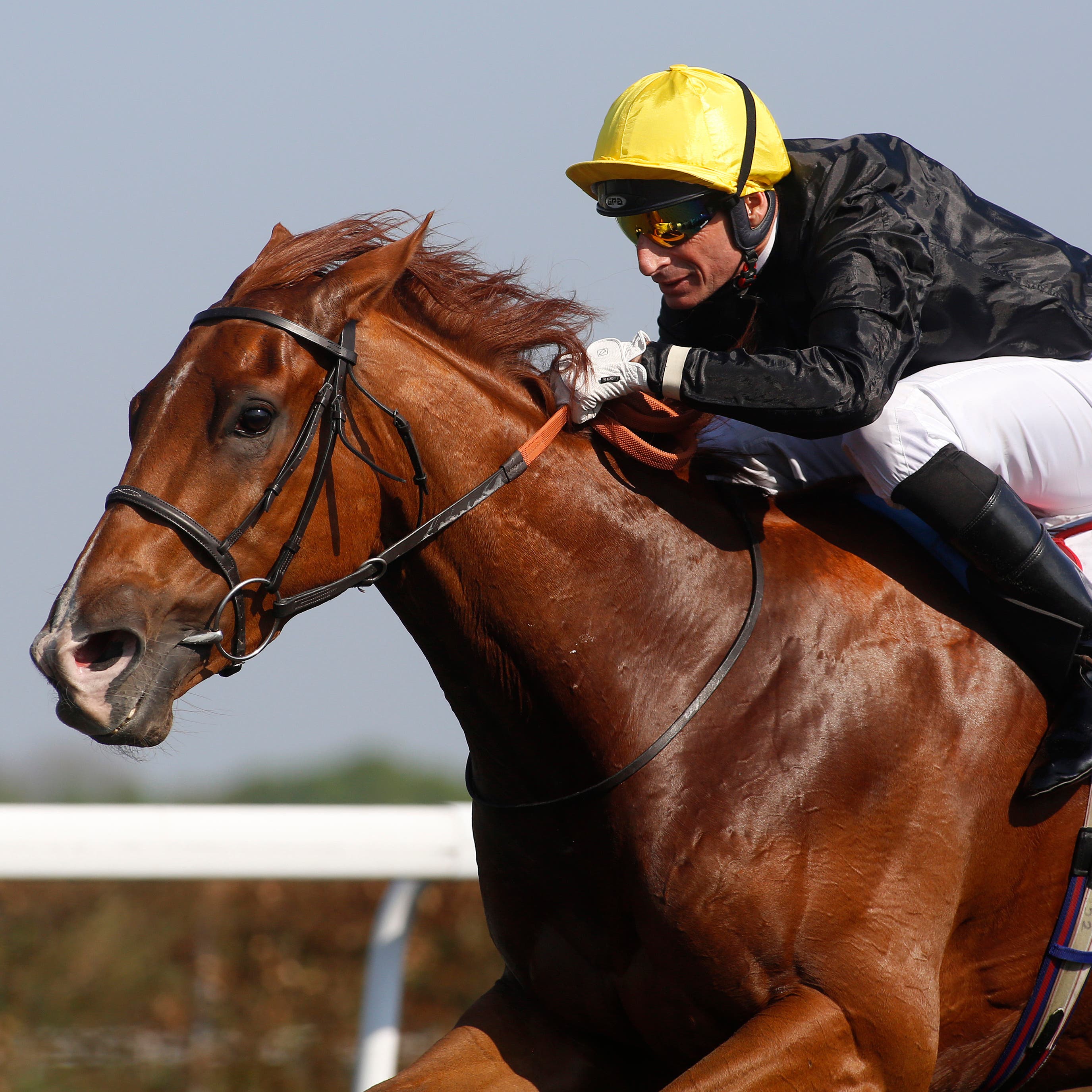 Agrotera thrilled Ed Walker with victory at Kempton