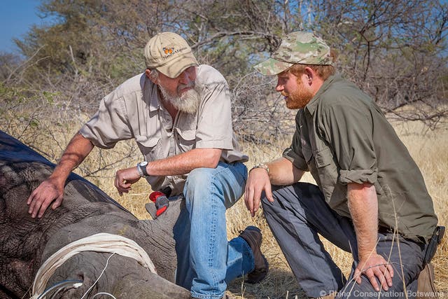  Prince Harry, pictured here during a Rhino Conservation Botswana project in Botswana, has a deep affinity for the African country. (Rhino Conservation Botswana)