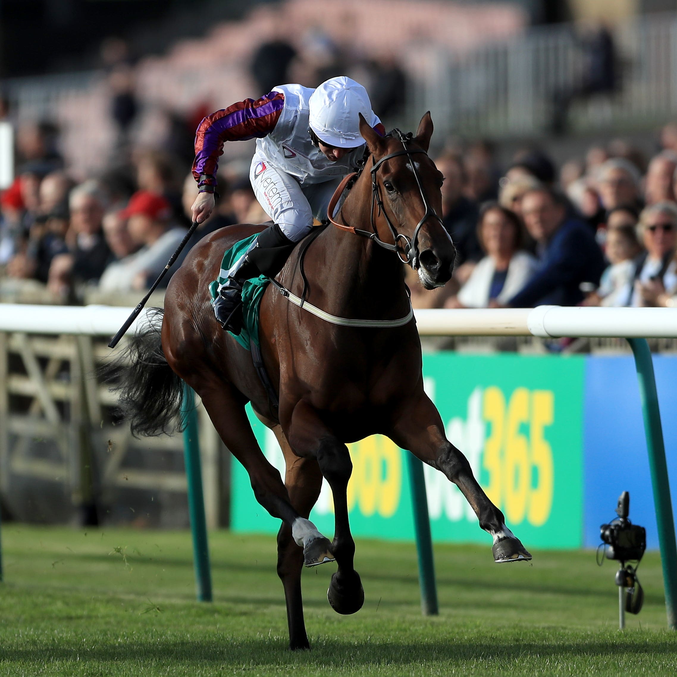 Laurens is looking to win a sixth Group One