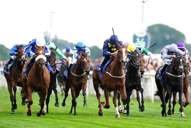 Queen Me (far left) finishing second previously at York 