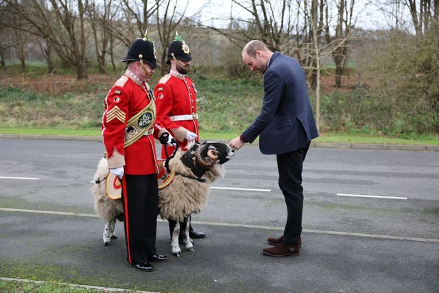 William meets regimental mascot Private Derby XXXIII, an 18-month-old Swaledale ram