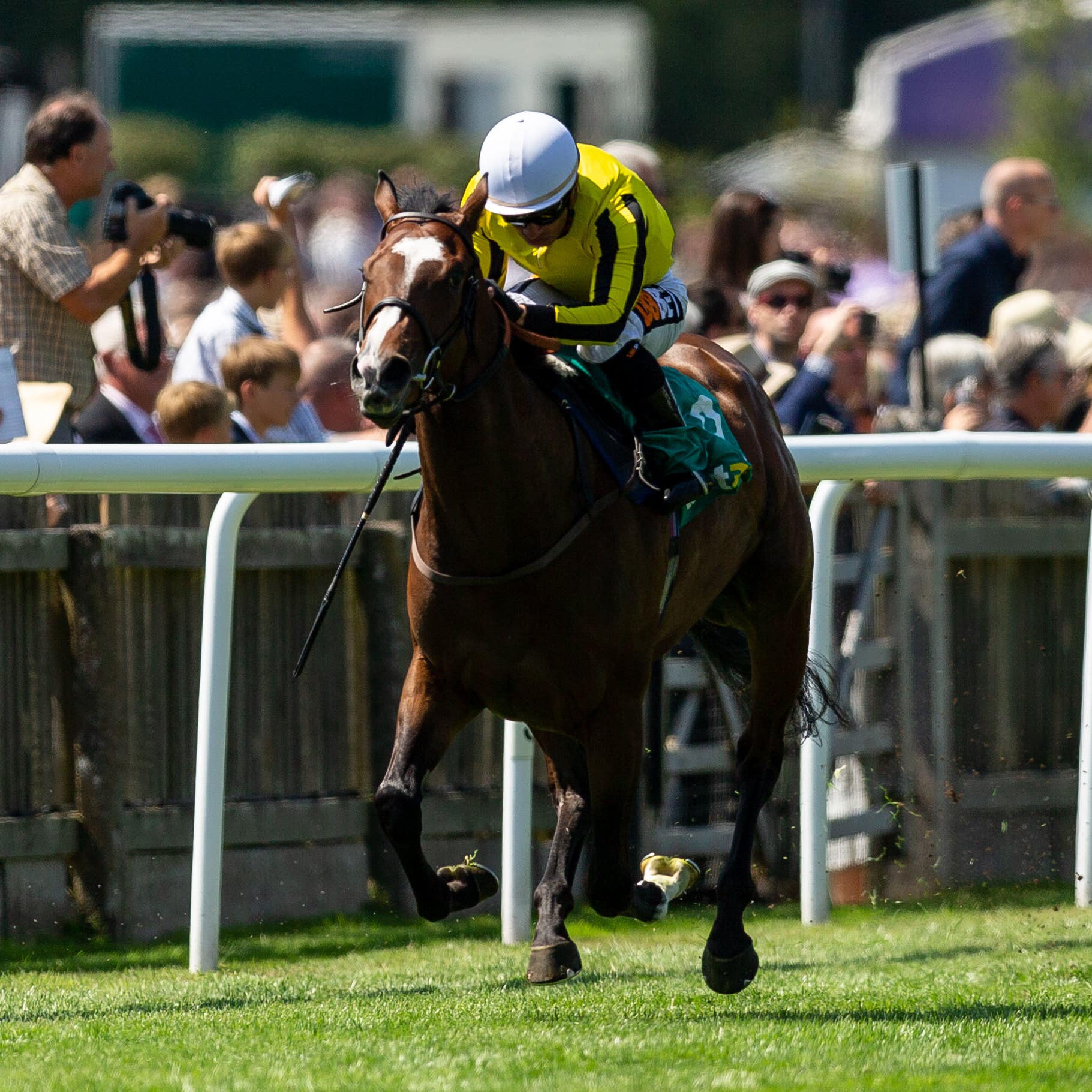 Pretty Pollyanna eclipses her rivals at Newmarket